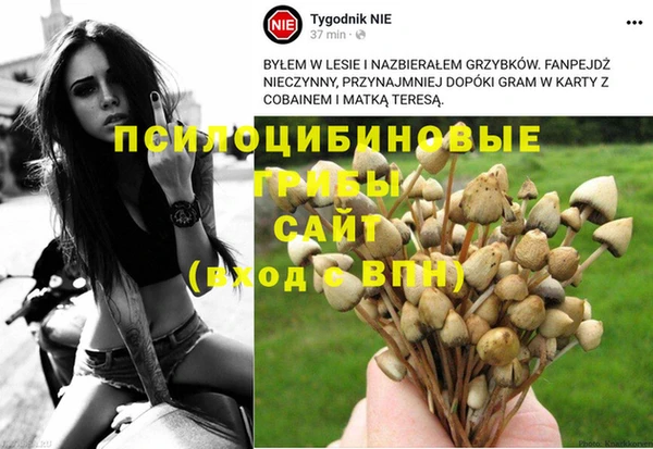 2c-b Баксан