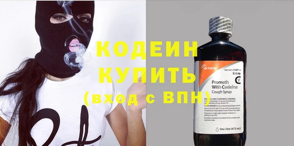 ПСИЛОЦИБИНОВЫЕ ГРИБЫ Арсеньев