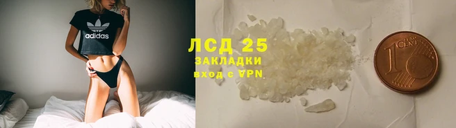 дмт Аркадак