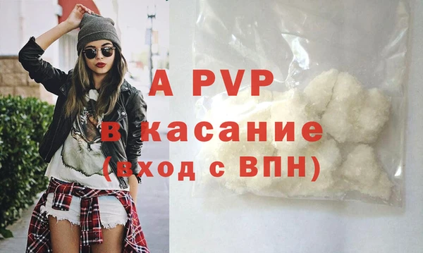 сатива Армянск