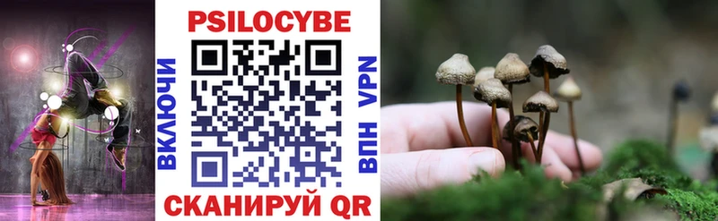 Галлюциногенные грибы MAGIC MUSHROOMS  Купить где  Малая Вишера 